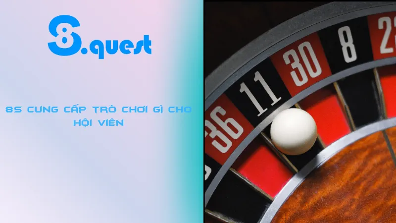 8S cung cấp trò chơi gì cho hội viên
