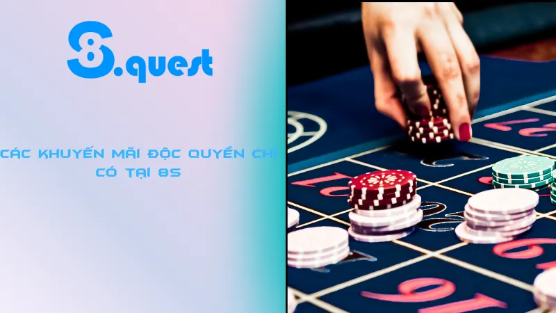 Các khuyến mãi độc quyền chỉ có tại 8S